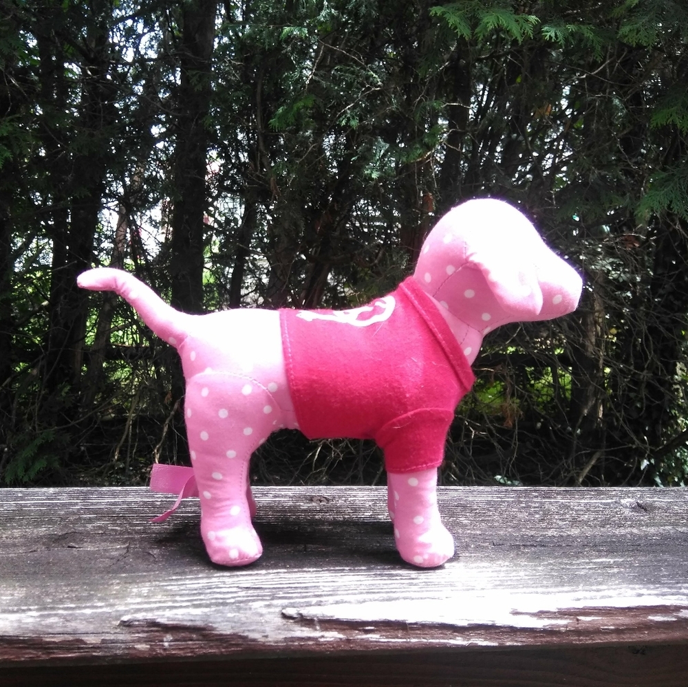 VS Pink Dog